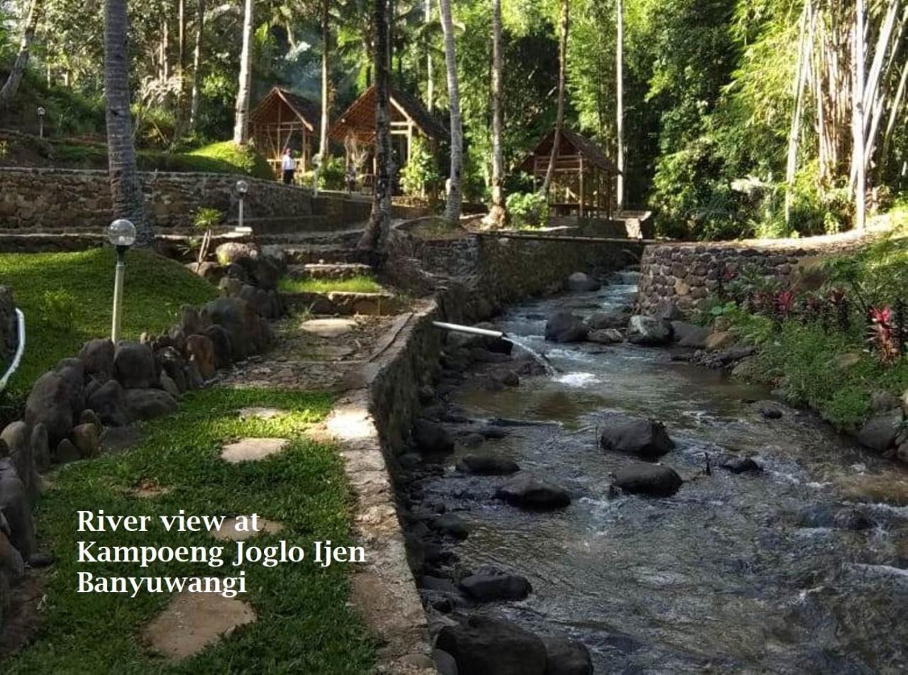 Вілла Kampoeng Joglo Ijen Баньювангі Екстер'єр фото